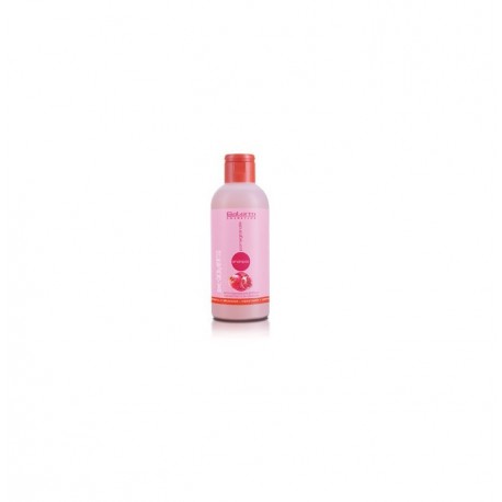 Comprar champu SALERM CHAMPU POMEGRANATE 1000 ML