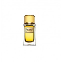 DOLCE & GABBANA VELVET MIMOSA BLOOM EDP 150 ML