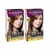 COLORCREM COLOR & BRILLO TINTE CAPILAR 78 MARRON PRALINE x 2 UDS