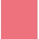 CATRICE POWER PLUMPING BARRA LABIOS GEL 140 THE LOUDEST LIPS