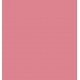 ESSENCE PERFILADOR LABIOS SOFT & PRECISE 103 WHY NOT