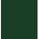 THUYA ESMALTE DELUXE FOREST IRISH GREEN N56