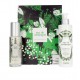 SISLEY EAU DE CAMPAGNE EDT 100ML + SHOWER GEL 250ML SET REGALO