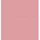 ESSENCE PERFILADOR LABIOS SOFT & PRECISE 202 MY MIND