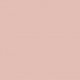 DOLCE GABBANA NAIL LACQUER LACA DE UÑAS 210 NUDE 11 ML
