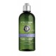 Comprar champu L'OCCITANE EN PROVENCE CHAMPÚ EQUILIBRIO Y SUAVIDAD AROMACOLOGÍA 300 ML