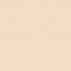 CHRISTIAN DIOR DIORSKIN FOREVER UNDERCOVER 010 IVORY 40 ml