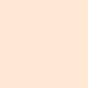 CHRISTIAN DIOR FOREVER TEINT 24H NO TRANSFIERE 1N NEUTRAL 30 ML
