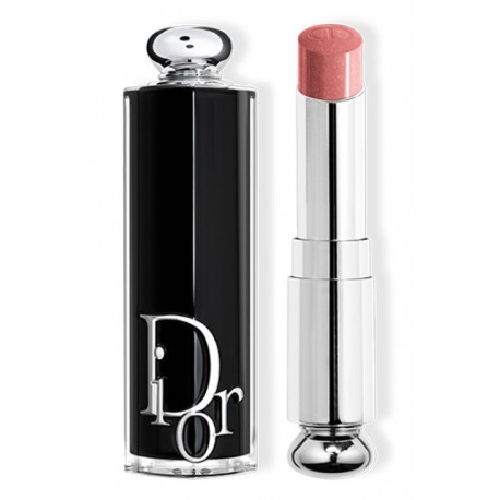 CHRISTIAN DIOR ADDICT BARRA DE LABIOS BRILLANTE 329 TIE & DIOR