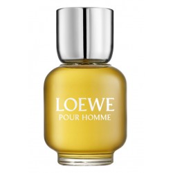 LOEWE POUR HOMME EDT 100 ML