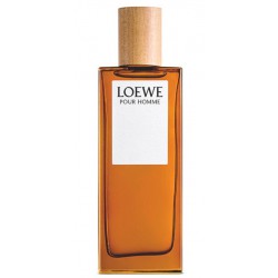 LOEWE POUR HOMME EDT 100 ML