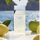 DOLCE & GABBANA LIGHT BLUE EDT 50 ML