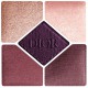 CHRISTIAN DIOR 5 COULEURS COUTURE SOMBRAS DE OJOS 183 PLUM TUTU