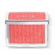 CHRISTIAN DIOR BACKSTAGE ROSY GLOW 012 ROSEWOOD