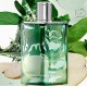 HERMES H24 HERBES VIVES EDP 100 ML VP