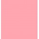 CLARINS EMBELLECEDOR LABIOS 01 ROSE SHIMMER