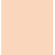 ESSENCE FOUNDATION STICK BASE DE MAQUILLAJE EN STICK 50