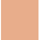 ESSENCE FOUNDATION STICK BASE DE MAQUILLAJE EN STICK 170