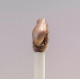 CATRICE DESERT DUNE TINTE DE OJOS BRILLANTE 02 ENDLESS SANDS