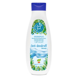 Comprar champu FRESH FEEL CHAMPU ANTI CASPA 750 ML