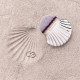 CATRICE SEASHELL STORIES BROCHA FACIAL Y CORPORAL