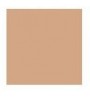 CHANEL LES BEIGES TEINT BELLE MINE NATURELLE SPF25 Nº22 ROSE 30 ML