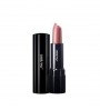 SHISEIDO PERFECT ROUGE BARRA LABIOS BR740 VISION 4GR