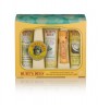 BURT´S BEES (CREMA LIMPIADORA, BALSAMO MANOS, LOC. CORPORAL, CREMA PIES, BALSAMO LABIOS) ESSENTIAL SET