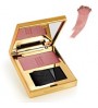 ELIZABETH ARDEN BEAUTIFUL COLOR RADIANCE BLUSH SUNBLUSH danaperfumerias.com