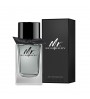 BURBERRY MR. BURBERRY EDT 100 ML danaperfumerias.com/es/