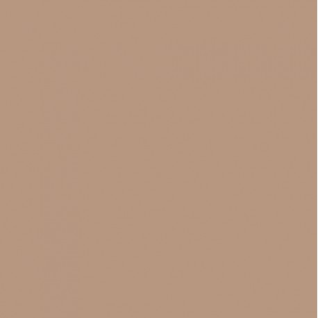 SENSAI CREAM FOUNDATION CF12 30 ML danaperfumerias.com
