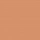 SENSAI TOTAL FINISH FOUNDATION COLOR TF25 danaperfumerias.com