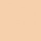 MAKEUP REVOLUTION FAST BASE STICK FOUNDATION F2
