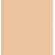 SHISEIDO SYNCHRO SKIN LASTING FOUNDATION G2 GOLDEN 30 ML