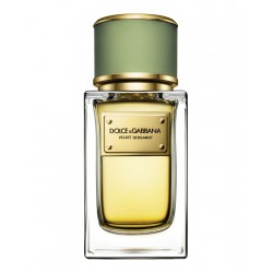 comprar perfumes online hombre DOLCE & GABBANA VELVET BERGAMOT EDP 150 ML